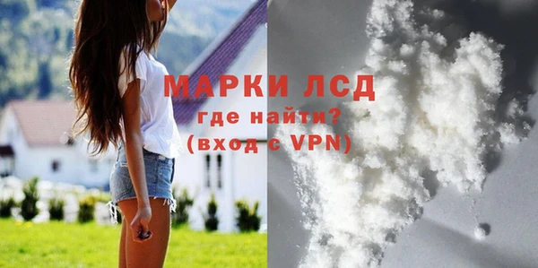 крисы Алзамай