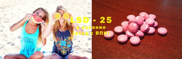 стаф Абинск